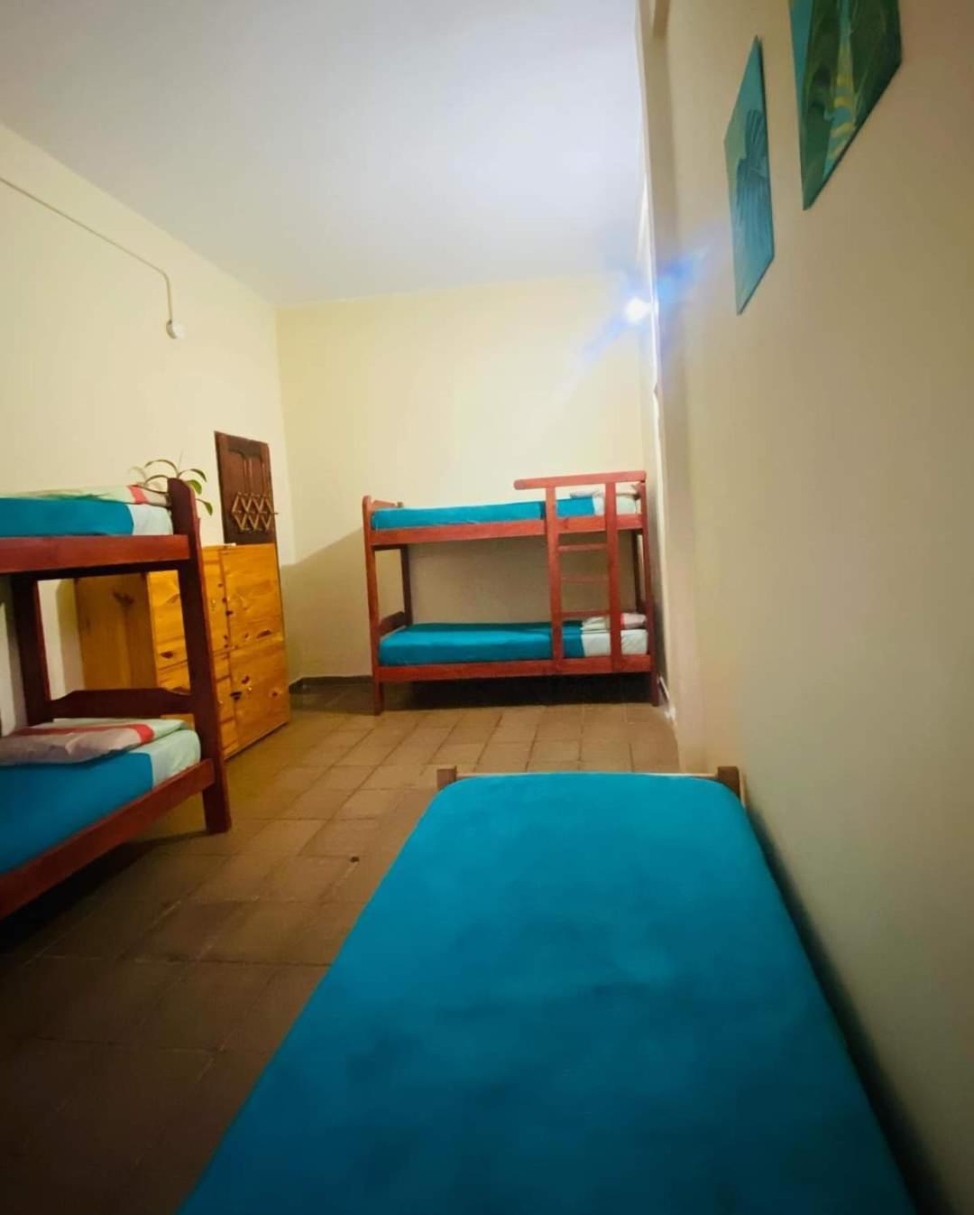 Benteveo Hostel Iguazu Puerto Iguazú Extérieur photo