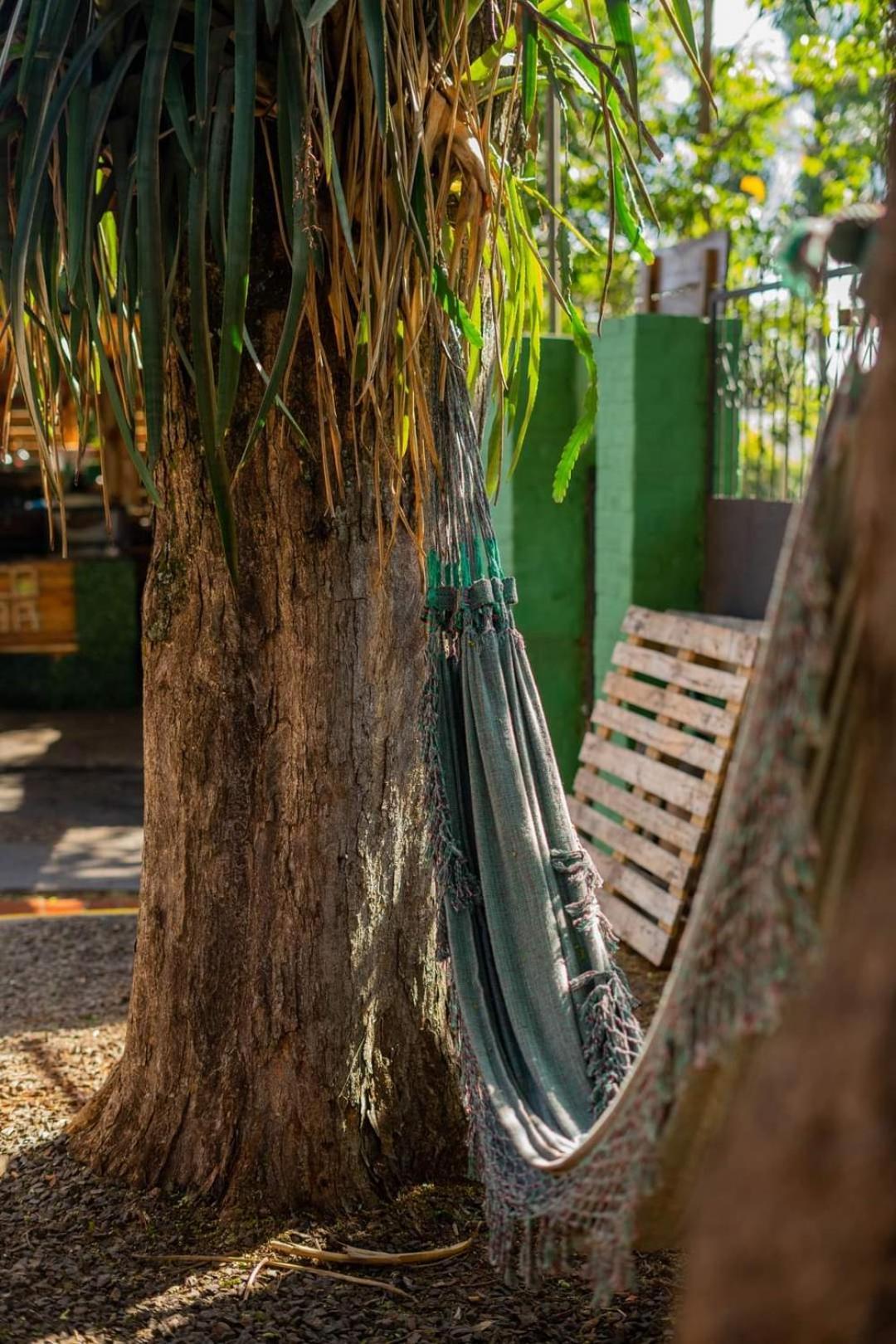 Benteveo Hostel Iguazu Puerto Iguazú Extérieur photo